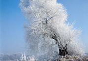 下雪天出門(mén)要注意什么
