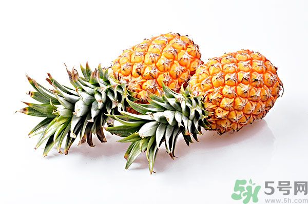芒果和菠蘿能一起吃嗎？芒果和菠蘿一起吃好嗎？