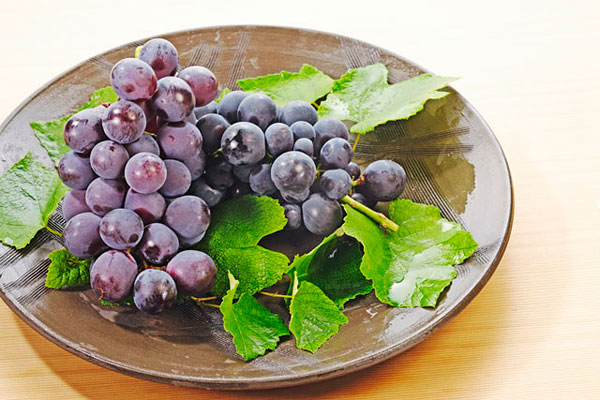 膽結(jié)石能吃葡萄嗎？膽結(jié)石患者吃葡萄好不好？