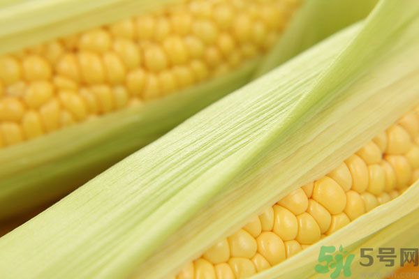 哺乳期能吃玉米回奶嗎？產(chǎn)婦吃玉米會回奶嗎？