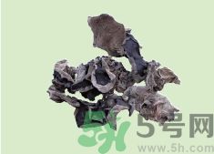 高血壓可以吃黑木耳嗎？木耳降血壓的做法有哪些？