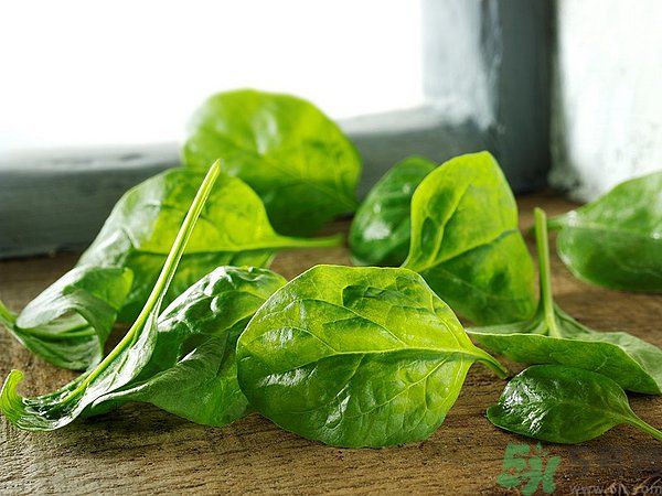 缺鐵有什么癥狀和危害？含鐵高的食物有哪些？