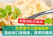吃芹菜可以去口臭嗎？口臭可以吃芹菜嗎？