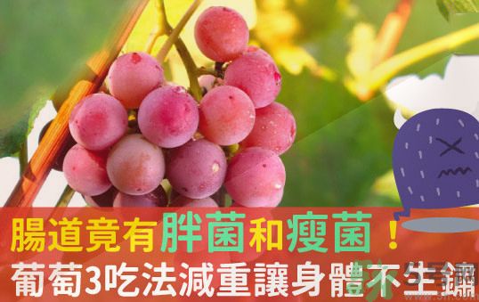 吃葡萄可以不吐葡萄籽嗎？吃葡萄皮好不好？