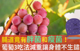 吃葡萄可以不吐葡萄籽嗎？吃葡萄皮好不好？