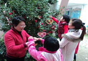 植樹節(jié)是幾月幾日？植樹節(jié)可以做些什么活動(dòng)？