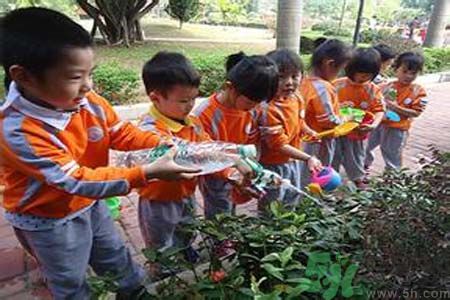 如何提高植樹的成活率？植樹節(jié)種樹要注意哪些細節(jié)？