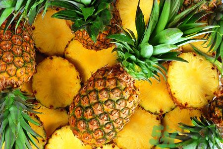 菠蘿和鳳梨有什么區(qū)別？菠蘿和鳳梨誰更好吃？