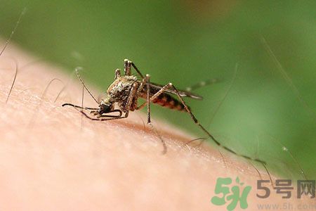 黃熱病可以吃水果嗎？怎么預(yù)防黃熱病癥狀？