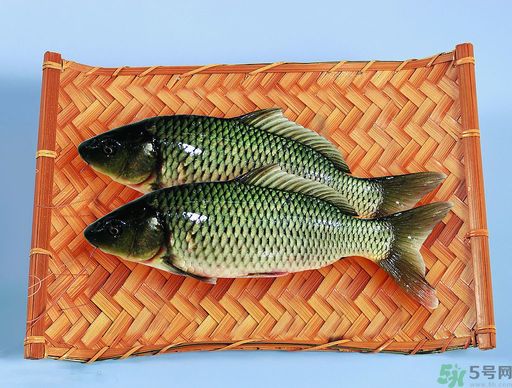 孕婦吃什么魚對胎兒好？孕婦吃什么魚最好？