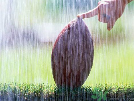 濕氣重的癥狀？怎么去除體內(nèi)的濕氣？