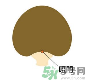 臉總是腫腫的怎么辦？臉有點浮腫怎么消腫？