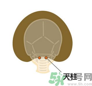 臉總是腫腫的怎么辦？臉有點浮腫怎么消腫？