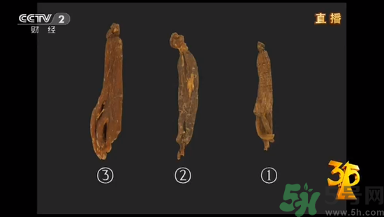紅參怎么挑選？紅參摻糖怎么辯解？