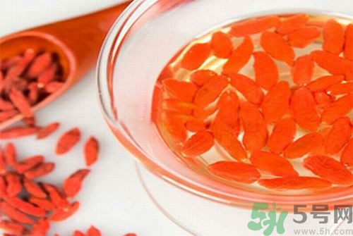 枸杞泡水有什么害處？枸杞泡水喝有什么好處？