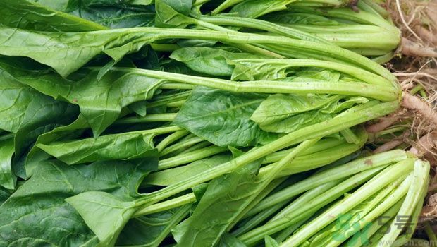 吃菠菜能補(bǔ)鐵嗎？吃蔬菜鐵效果好嗎？