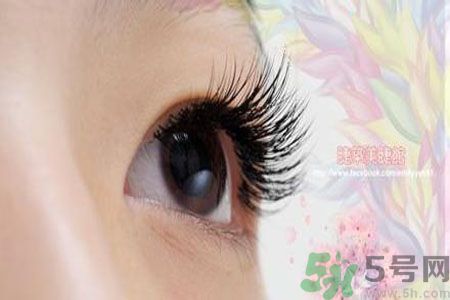 種睫毛的危害有哪些？種睫毛能保持多久？