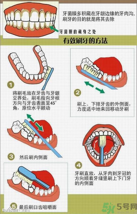 18歲還能戴牙套嗎？戴牙套真的能瘦臉改變臉型嗎？