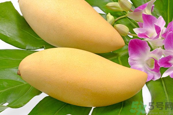 吃芒果嘴唇過敏怎么辦？為什么吃了芒果后嘴巴癢？