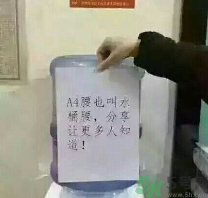 a4腰也叫水桶腰是什么意思？a4腰也叫水桶腰圖片？ 