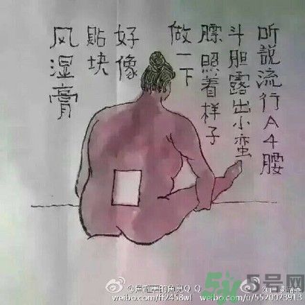 a4腰也叫水桶腰是什么意思？a4腰也叫水桶腰圖片？ 