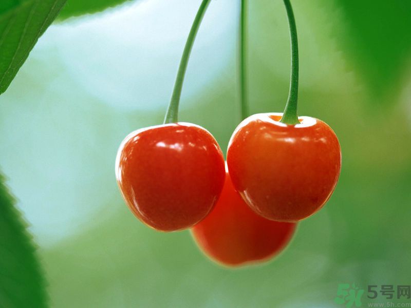 春分時(shí)節(jié)養(yǎng)生吃什么水果好？那些水果可以春天吃？