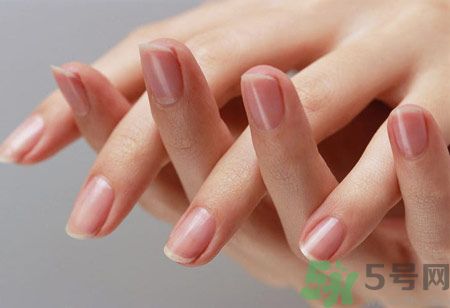 從月牙看健康 如何從月牙看出你的體質(zhì)？