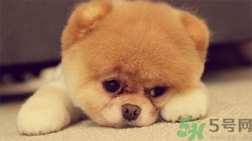 睡覺能戴手表嗎？睡覺不能帶的東西有哪些？