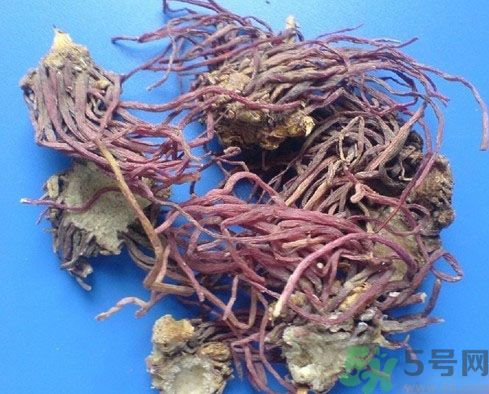 紫菀的功效和作用是什么？紫菀的用法用量是多少？