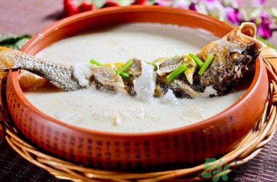 煲魚湯怎么去腥？家常魚湯做法有哪些？