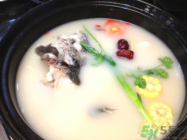 煲魚湯怎么去腥？家常魚湯做法有哪些？