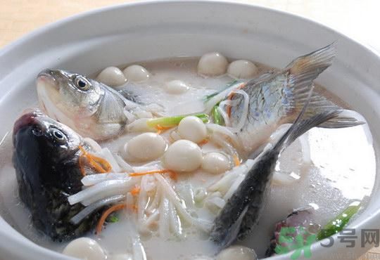 煲魚湯怎么去腥？家常魚湯做法有哪些？
