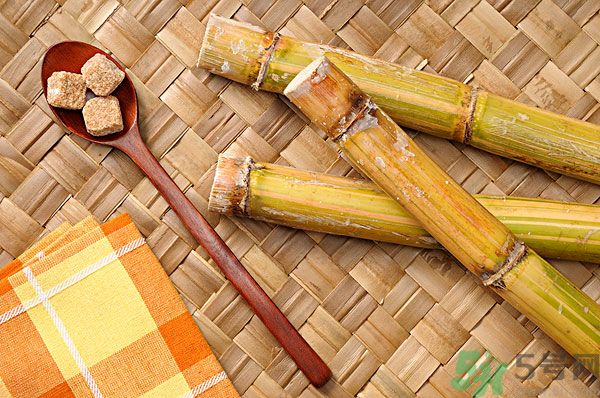 清明節(jié)能吃甘蔗嗎？清明節(jié)吃甘蔗會中毒嗎？