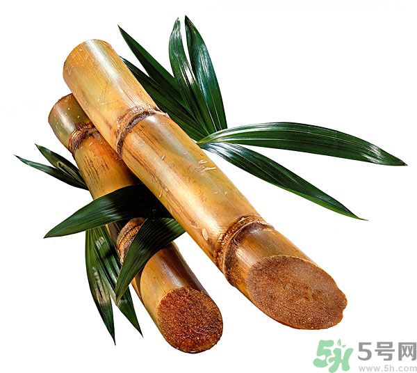 清明節(jié)能吃甘蔗嗎？清明節(jié)吃甘蔗會中毒嗎？