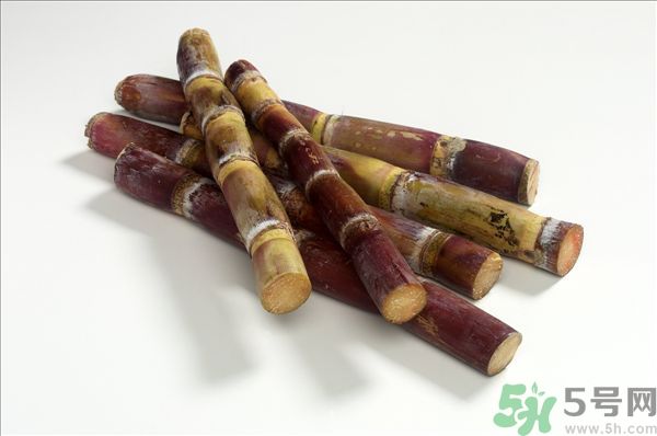 清明節(jié)能吃甘蔗嗎？清明節(jié)吃甘蔗會中毒嗎？