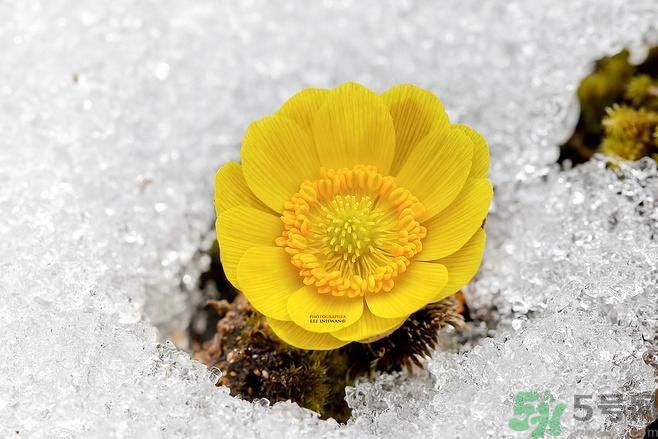 清明節(jié)有哪些習(xí)俗？清明節(jié)習(xí)俗的來源？