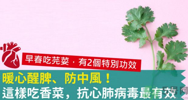 春天吃香菜好嗎？春天吃香菜有什么好處？