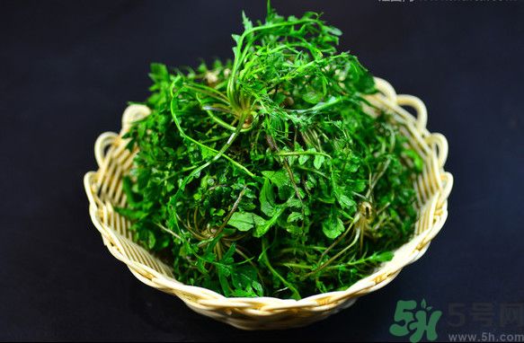 薺菜根能吃嗎？薺菜要去根吃嗎？