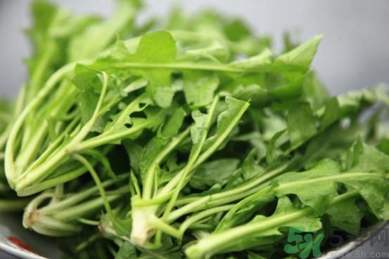 薺菜為什么要焯水？薺菜要用開(kāi)水燙嗎？