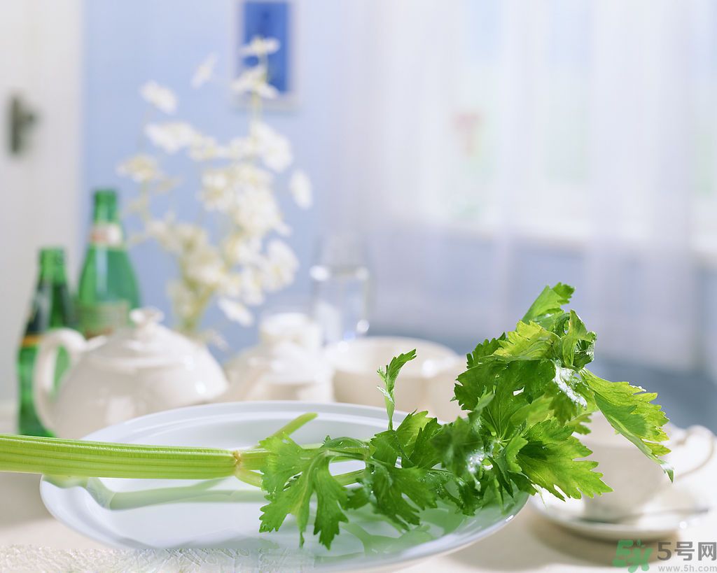 芹菜可以減肥嗎？芹菜有什么功效？