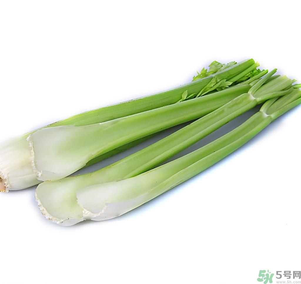 芹菜可以減肥嗎？芹菜有什么功效？