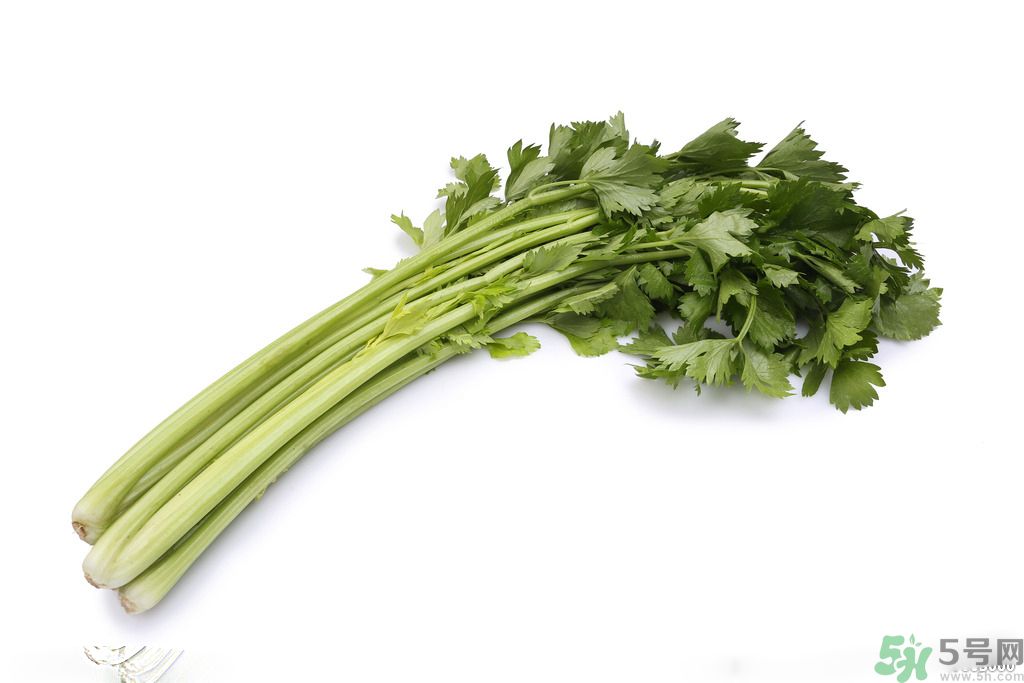 芹菜可以減肥嗎？芹菜有什么功效？