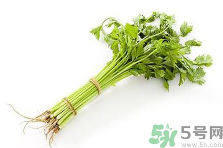 芹菜可以減肥嗎？芹菜有什么功效？