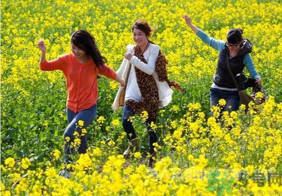 清明節(jié)的習俗有哪些？清明節(jié)吃什么？