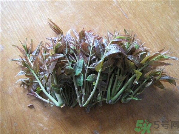 香椿怎么吃才安全？吃香椿的最佳時間是什么時候？