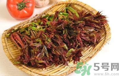 吃香椿有什么好處？香椿可以預(yù)防疾病嗎？