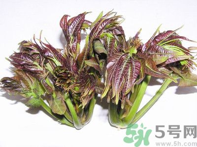 吃香椿有什么好處？香椿可以預(yù)防疾病嗎？