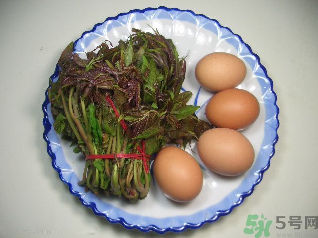 怎么挑選香椿呢？挑選香椿的小竅門？