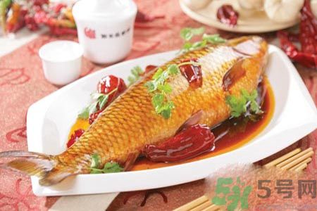 怎么挑選魚？挑魚的技巧有哪些？