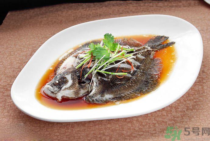 怎么挑選魚？挑魚的技巧有哪些？
